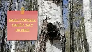 Поиск чермета
