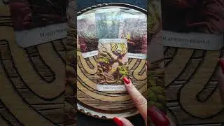 Высшие Силы что скажут по поводу агрессии, войн...