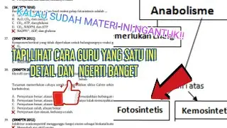 FOTOSINTESIS (REAKSI TERANG)