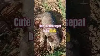 #tarinding