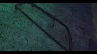 Okus - Parl