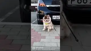 Кто твои родители?