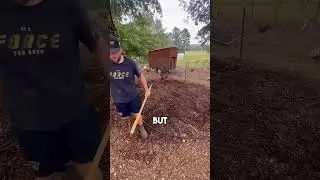 DEEP BEDDING CHICKEN COMPOSTING SYSTEM