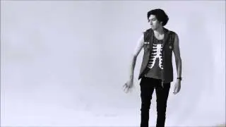 THE SLAP