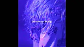 deadrose playing
