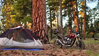 Solo Moto Camping in a Ponderosa Forest