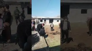 7 марта 2024 г.
