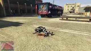 huh