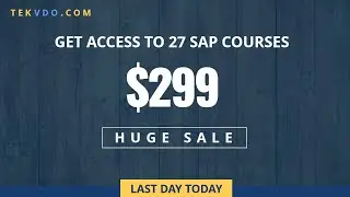 2 SAP Courses for $200 - Black Friday Sale - Act Fast