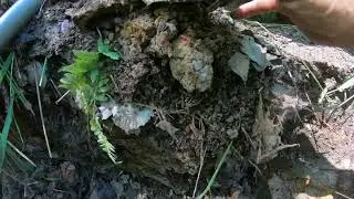 Коп по войне Серия 208 Стакан Красная армия!