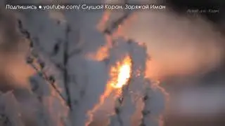 Слушать всем ВЫ ЕЩЕ НЕ СЛУШАЛИ ЭТОГО ПРЕКРАСНОГО. Мусульманам Иудеям и Христианам ИСЛАМ ДЛЯ ВСЕХ!