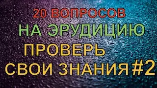 20 вопросов на эрудицию #2. Проверь свои знания за пять минут.