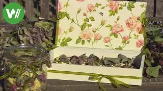 Potpourri aus Blüten und Düften - mit Anleitung!