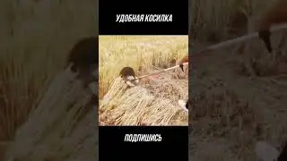 ПРИДУМАЛ, КАК УДОБНО КОСИТЬ ПШЕНИЦУ 