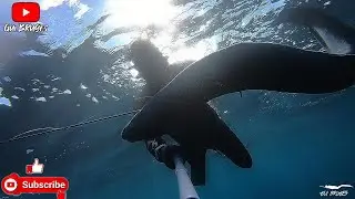 Barco a passar-me por cima enquanto capturava um Congro