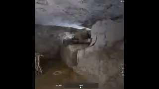 22 ноября 2022 г.