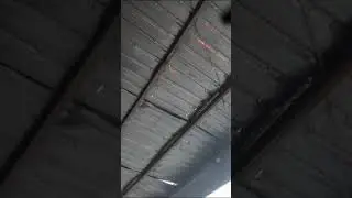 Крыша на остановке в Бишкеке протекает