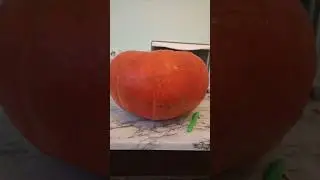 КАК СДЕЛАТЬ ТЫКВУ НА ХЕЛЛОУИН. ЧАСТЬ3