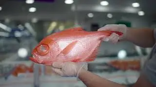 MORE THAN JUST A FISH MARKET