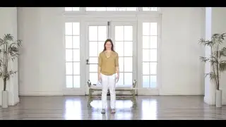 Dynamic Mindfulness (DMind) Mood Shifter Video Library