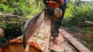IBA TALAGA TUMIRA/ /CHAINSAW VETERAN/ /PHILIPPINES