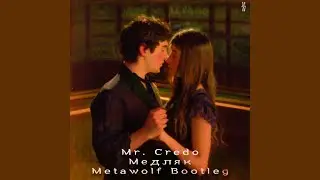 Mr. Credo - Медляк (Metawolf Bootleg)