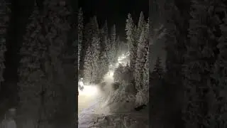 17 декабря 2023 г.