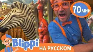 Блиппи В джунглях🦓🌴 | Блиппи на русском