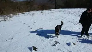 С Брук и Белла на 