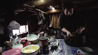 СРЕДИ ВОЛКОВ. ТАЁЖНЫЕ БУДНИ.