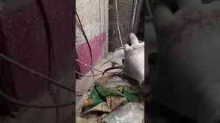 Оторвало руку на роботе