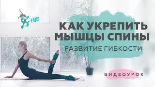 Как укрепить мышцы спины в домашних условиях | Развитие гибкости | S-HUBme  с Лизой