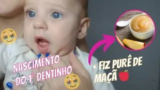 NASCEU OS PRIMEIROS DENTINHOS DA MINHA BEBÊ + FAZENDO PURÊ DE MAÇÃ | BIA FREITAS
