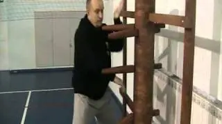 Traditional Wing Chun continued...