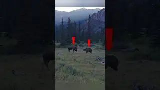 🦌🐻 Медведь против оленя 