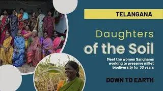 Daughters of the Soil : Meet the fiery Dalit women working to preserve millet biodiversity