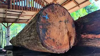 the beautiful grain of the redwood trunk is stunning when sawn at the sawmill 