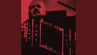 Bailongo