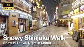 Snow in Tokyo, Night Walk in Shinjuku