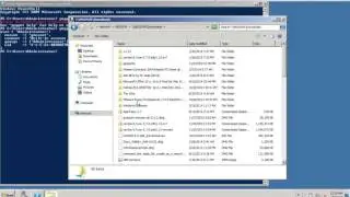 Guidelines on writing Puppet modules for Windows