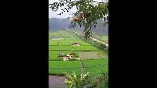 মাশাআল্লাহ আমাদের নবীজির জীবনের একটা ঘটনা #নবীজী #নবীদের_কাহিনী #নবীর
