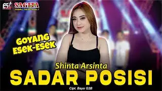 Shinta Arsinta - Sadar Posisi | Dangdut (Official Music Video)
