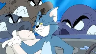 ⚡🐈Том и Джери🐁