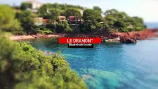 Le Dramont et sa biodiversité