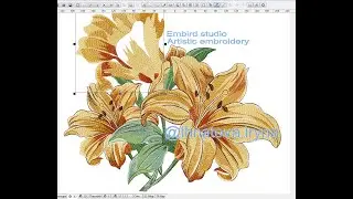 Embird Studio Аrtistic embroidery LILIYA. Художня гладь ЛІЛІЯ Перша частина