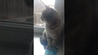 оооооооо