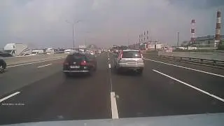 Дятлы на дороге