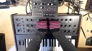 Analogue Jam #4 
