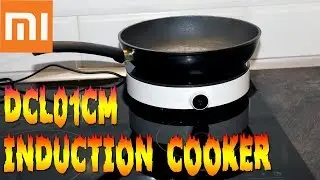 A DETAILED REVIEW OF THE XIAOMI DCL01CM COMPACT INDUCTION COOKER WITH TEMPERATURE SENSOR