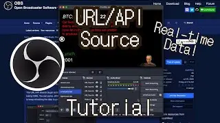 URL/API Real-time OBS Live Data Plugin [Tutorial]